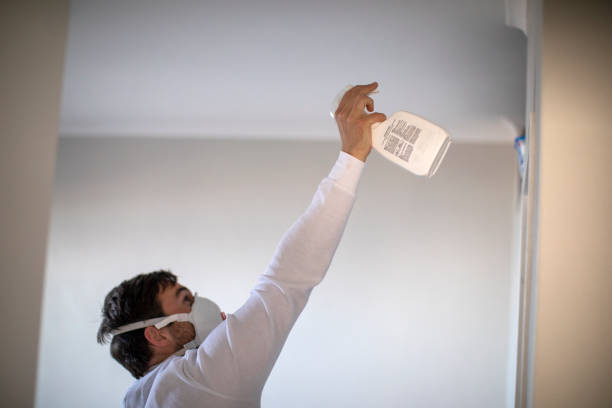 Home Mold Removal in Marbury, AL