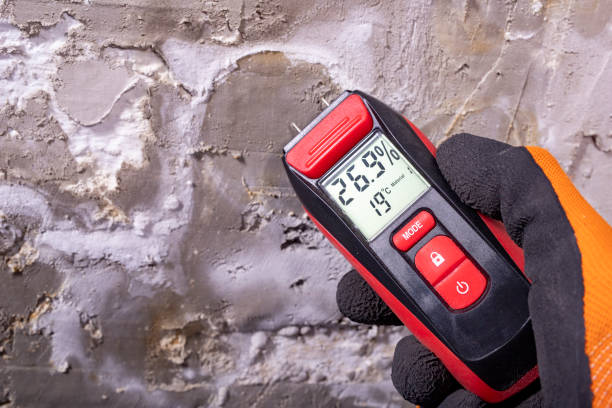 Best Emergency Mold Removal  in Marbury, AL