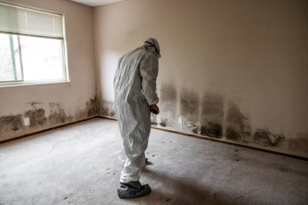 Best Certified Mold Removal  in Marbury, AL